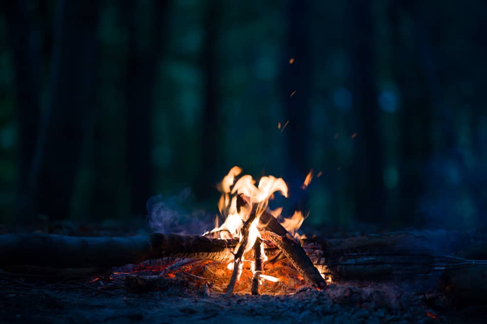 Forest safari retreat bonfire evening