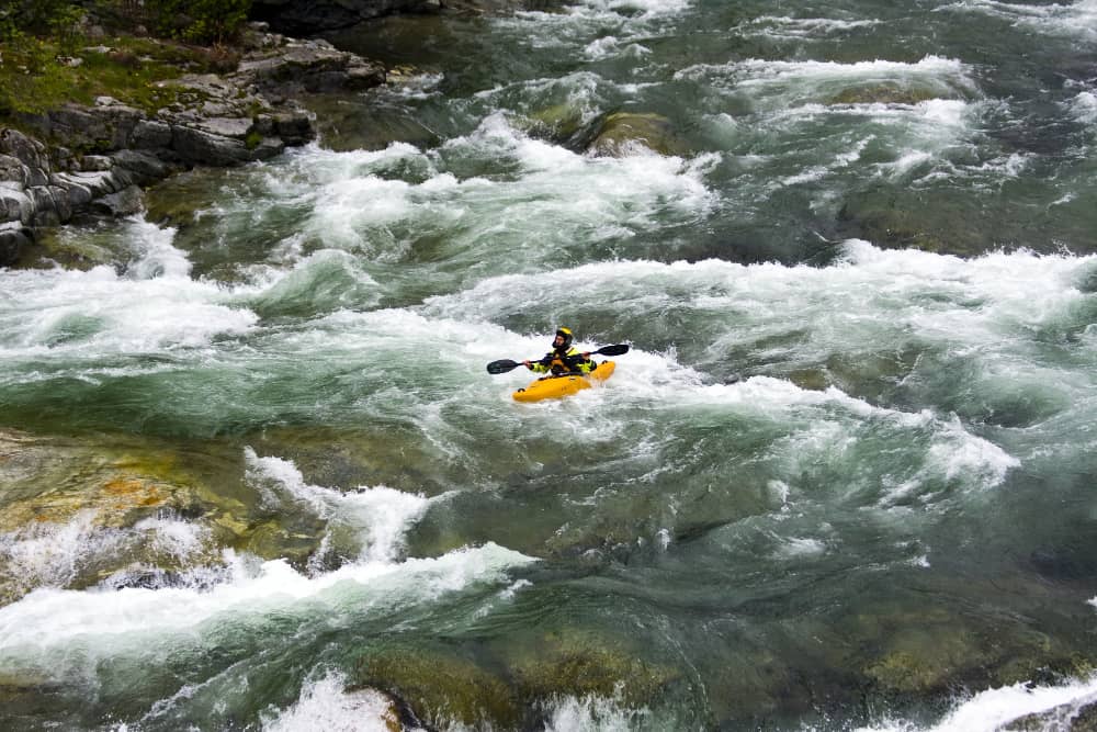 Forest safari retreat water rafting